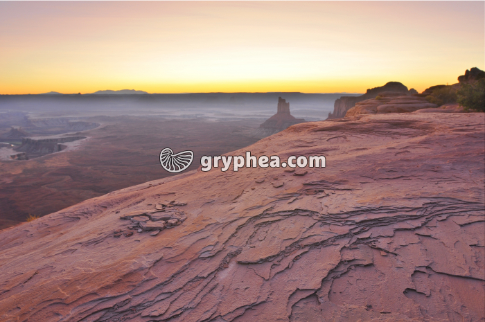 Erosion du grès (Canyonlands NP, Utah, USA) - gryphea.org